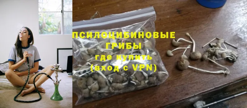 купить   Ирбит  Псилоцибиновые грибы Magic Shrooms 